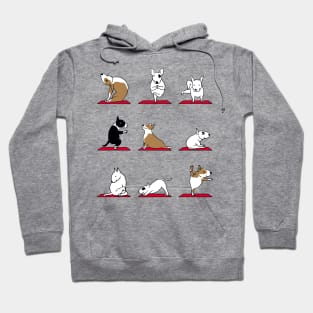 Bull Terrier Yoga Hoodie